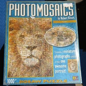 Jigsaw Puzzle by Robert Silvers - 1000 Pieces